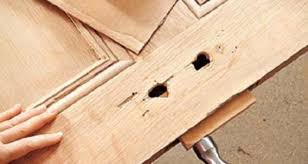 Cửa gỗ tự nhiên bị cong vênh, khó đóng mở