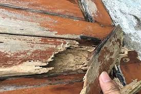 Cửa gỗ tự nhiên bị cong vênh, khó đóng mở