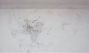 Xử lý tường ẩm mốc tận gốc
