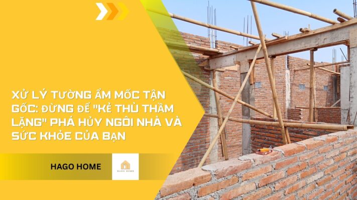 Xử lý tường ẩm mốc tận gốc