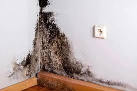 Xử lý tường ẩm mốc tận gốc