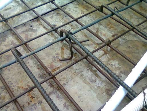 tác dụng thép chân chó chủ nhà cần biết 2026