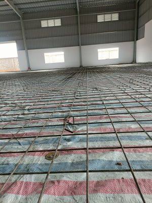 tác dụng thép chân chó chủ nhà cần biết 2026